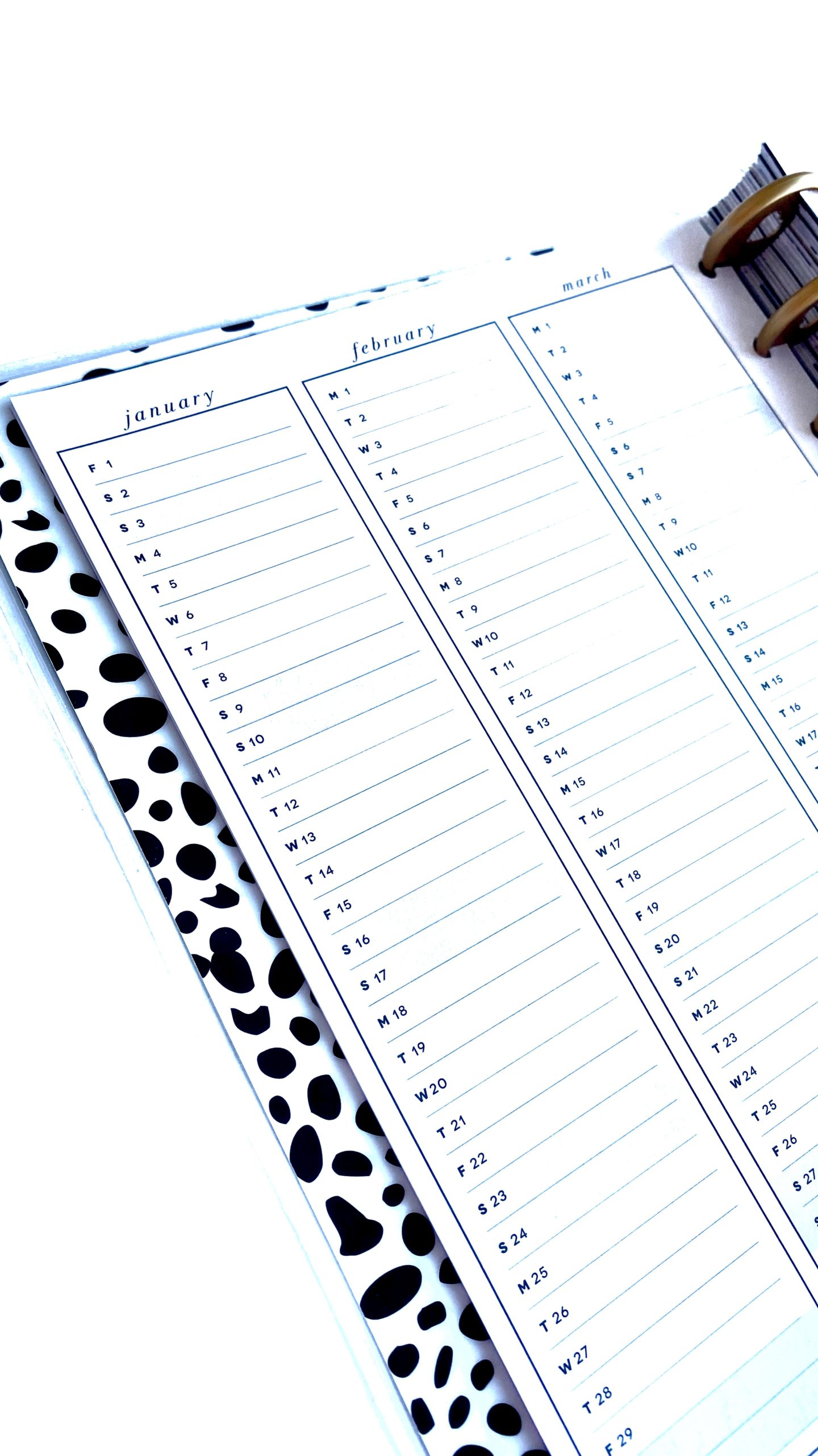 40 WAYS TO USE THE YEAR AT A GLANCE PAGE IN YOUR PLANNER - Casually ...